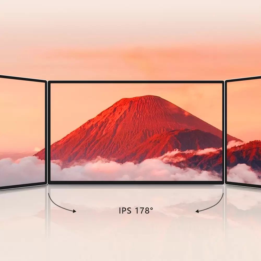 Schermo IPS con ampio angolo di visione